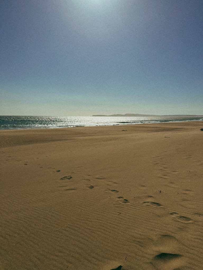 A picturesque scene of clear sand, sun and shimmering ocean in California. 