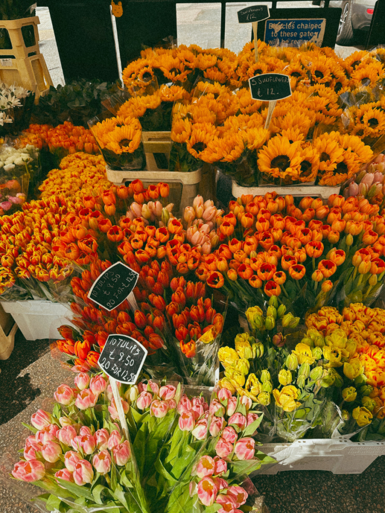 Bright fresh flowers including tulips and sunflowers at Columbia Road Flower Market in East London.